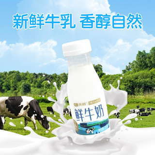 天润 TERUN鲜牛奶巴氏杀菌鲜牛奶3.8g蛋白质210g*8瓶、