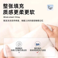 洁丽雅A类空调被夏凉被可水洗棉被夏季棉花填充被子单双人宿舍薄被夏被 恐龙【已质检 可裸睡】 双人夏被200*230cm