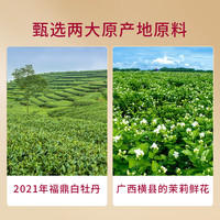 八马万山红 武夷山红茶 特级金骏眉 正山小种 凤庆滇红 茉莉白茶 茶叶自己喝 60g【茉莉白茶】
