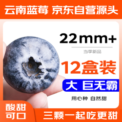 京鲜生 巨无霸果云南蓝莓（22mm+）12盒装 单盒约125g