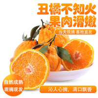 德小鲜 四川不知火新鲜丑橘正宗丑八怪桔子应季水果柑橘整箱现摘自然熟