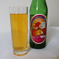 儿时味道云南文山特产麻栗坡香槟酒70后鲜橙囍露80后果味汽水90后 鲜橙囍露4瓶