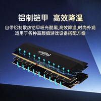 英睿达DDR5 6000频率 24GB*2套条台式机内存条 Pro系列游戏马甲条