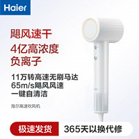 百亿补贴：海尔 Haier 高速吹风机家用大功率负离子速干恒温风力宿舍护发风筒电吹风