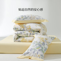 【心愿社】水星家纺全棉印花小清新四件套