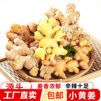 小黄姜 其它 云南小黄姜 3斤