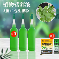 雅昶家具 YA CHABG FURNITURE 雅昶 72916 香水百合水培植物 3支 营养液