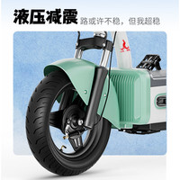 凤凰电动车新国标成人代步电池可提电瓶车轻便小型电动自行车 红蓝色【 终身售后】 车架款【详情客服】