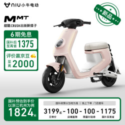 小牛电动 自行车MMT铅酸电动自行车两轮电动车新国标电动车通勤代步
