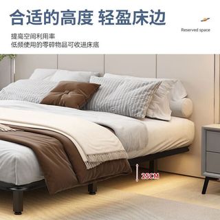 百裕达悬浮床现代简约无床头日式极简铁艺双人床榻榻米排骨架主卧铁艺床 1000*2000mm 黑色排骨架