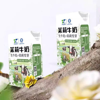 天太乳业茉莉牛奶栀子牛奶咖啡牛奶椰子牛奶牛乳儿童成人早餐奶