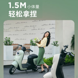 爱玛 爱朵系列新国标时尚铅酸成人电动自行车电瓶车助力车 到店选色提车