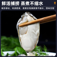包活鲜活乳山生蚝新鲜牡蛎超大特大肉海蛎子刺身即食海鲜水产