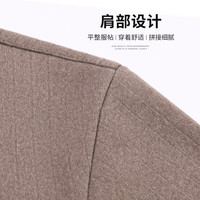 杉杉 SHANSHANHANHAN长袖POLO衫男春季半拉链翻领男士打底衫商务休闲中青年上衣 /165