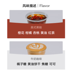 八平方咖啡 S.O.E COFFEE 意式单品咖啡豆 柑橘风味 250g