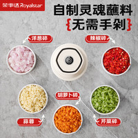 Royalstar荣事达打蒜器电动绞肉机蒜泥捣碎器家用打蒜器厨房蒜蓉搅碎器压蒜器小型 350ml-六叶刀【60%用户首选】