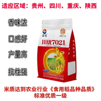 稻玉丰农业 一级香米水稻种川优7021水稻种子米质好产量高口感软糯有嚼劲 川优7021水稻种子500克     1袋