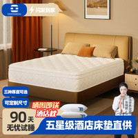 QUEENSMENG 床垫记忆棉加厚软硬适中独立弹簧五星酒店席梦思家 2000*2200mm
