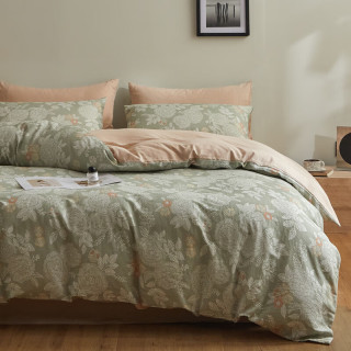 AIDLI A类100%全棉双层纱纯棉四件套 200*230cm