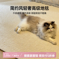 宅曰 剑麻地毯客厅2024新款办公室地毯黑色商用房间卧室地垫客厅高级感 米白色小圈棉布底【品质沙发）