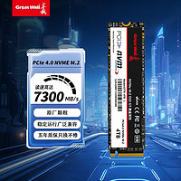 百亿补贴：长城 GT70 4TB SSD固态硬盘M.2接口支持PS5电竞游戏大容量PCIe 4*4