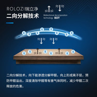 瑞立净 ROLOZI B型 深度除甲醛喷剂生物酶光触媒新车TVOC除醛喷剂 10瓶