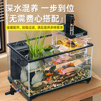 爬将军超白玻璃乌龟缸生态饲养缸鱼龟混养生态一体缸复式阳光别墅缸鱼缸 43缸【阳光房套餐】