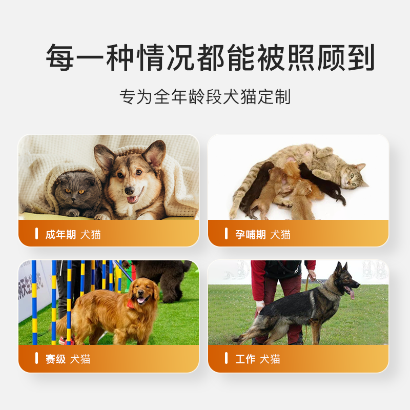 惠伦宝羊奶粉猫咪狗狗通用0蔗糖成犬成猫幼犬专用宠物营养补充剂