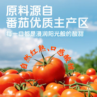 海底捞火锅底料 煲汤涮菜调味料 家庭聚会 一料多用 鲜浓番茄火锅底料200g*3