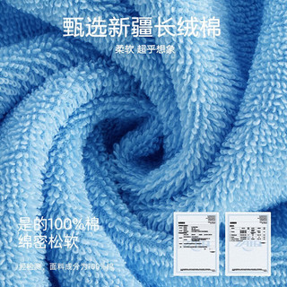 三利毛巾纯棉夏季家用吸水速干男女全棉柔软成人洗澡洗脸大人面巾 蓝色+蓝色
