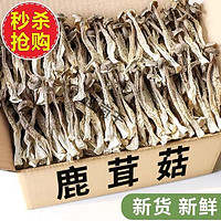 农家 鹿茸菇干货 500g 古田脆脆菇 食品生鲜