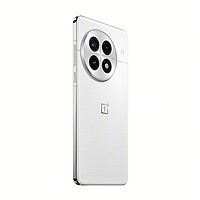 一加 OnePlus 13 高通骁龙®8至尊版  一加13 AI智能游戏手机 旗舰影像性能手机 5G全网通 16GB+512GB