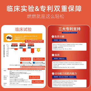MDC小腰精30粒黑生姜酵素小炫腹腰部精华含左旋肉碱瘦腰肚塑身燃