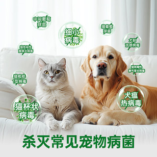 Dettol 滴露 宠物家庭专用消毒液 茶与青柑