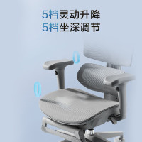 京东京造 Z9Pro 人体工学椅 5D扶手+脚踏灰