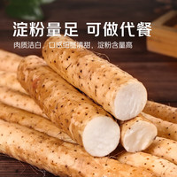 京觅河南特产山药3斤30cm+ 铁棍山药 新鲜根茎类蔬菜源头直发
