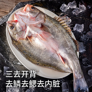 喵满分鲜活冷冻三去开背海鲈鱼600g*3条商用白蕉深海特大卤烤鱼