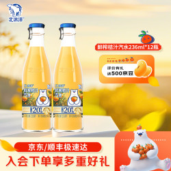 北冰洋 发酵桔汁汽水330ml*12瓶 果汁碳酸饮料整箱