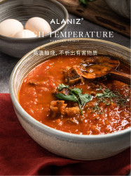ALANIZ 盐之花釉下彩汤碗陶瓷碗轻奢创意北欧面碗家用碗大号米饭碗