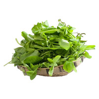 苏北农家露天霜冻嫩豌豆尖豌豆苗新鲜蔬菜龙须菜烫火锅叶菜 2000g