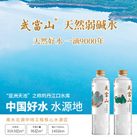 武当山 天然弱碱水 513ml*24瓶 金鼎装