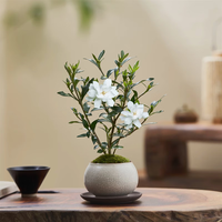 八芽小叶栀子花盆栽开花植物室内桌面茶几好养花卉绿植办公室净化空气 栀子花+白裂纹金边陶瓷盆+紫砂托盘+苔藓铺好 带盆栽好
