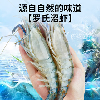 渔游记（YUYOUJI）罗氏虾沼虾3斤鲜活冷冻新鲜大头虾超大虾巨型淡水河虾水产虾类 特大号16-20只/斤共 1500g(净重)