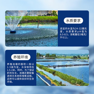 渔游记（YUYOUJI）罗氏虾沼虾3斤鲜活冷冻新鲜大头虾超大虾巨型淡水河虾水产虾类 特大号16-20只/斤共 1500g(净重)