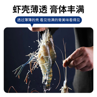 渔游记（YUYOUJI）罗氏虾沼虾3斤鲜活冷冻新鲜大头虾超大虾巨型淡水河虾水产虾类 特大号16-20只/斤共 1500g(净重)