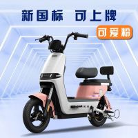 加州豹 JZBOO 电动自行车新国标48V 20a天能/超威电池