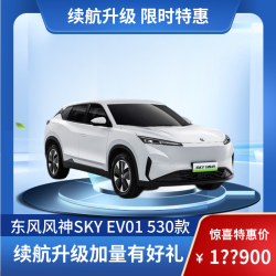 东风风神 SKY EV01 530km PRO 2024款 新能源汽车