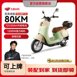 五星钻豹 G2 电动摩托车 ZB1200DT-37 星空牛果绿