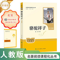 骆驼祥子（升级版）人教版名著阅读课程化丛书 七年级下册 与25春新版初中语文教材配套使用（含微课，从教学角度讲解名著；含阅读笔记本，提供测评指导帮助提升整本书阅读能力）