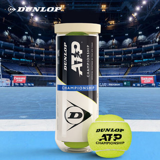 邓禄普（DUNLOP）网球ATP球专业比赛巡回赛胶罐AO球澳网训练比赛耐打高弹性网球 3粒装ATP训练球 601626 6桶